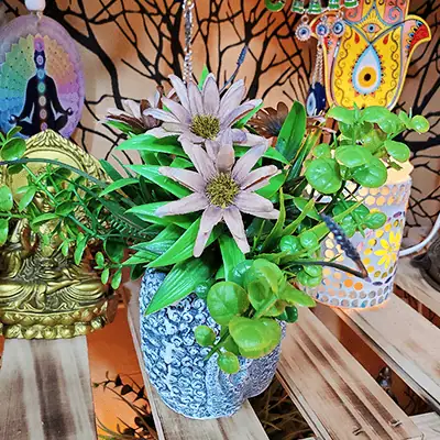 categoria de plantas artificiales