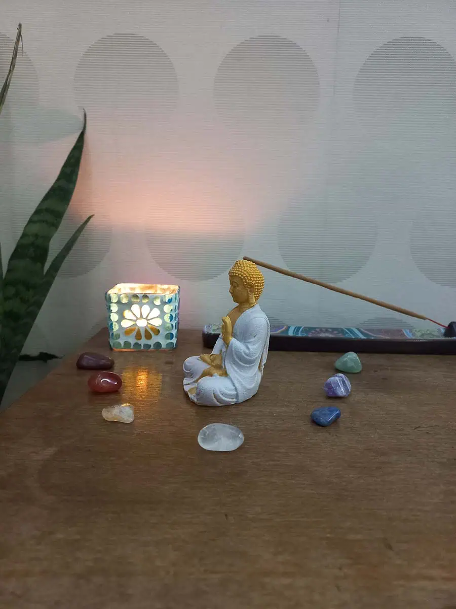 imagen de Buda Mudra Abdhaya rosa