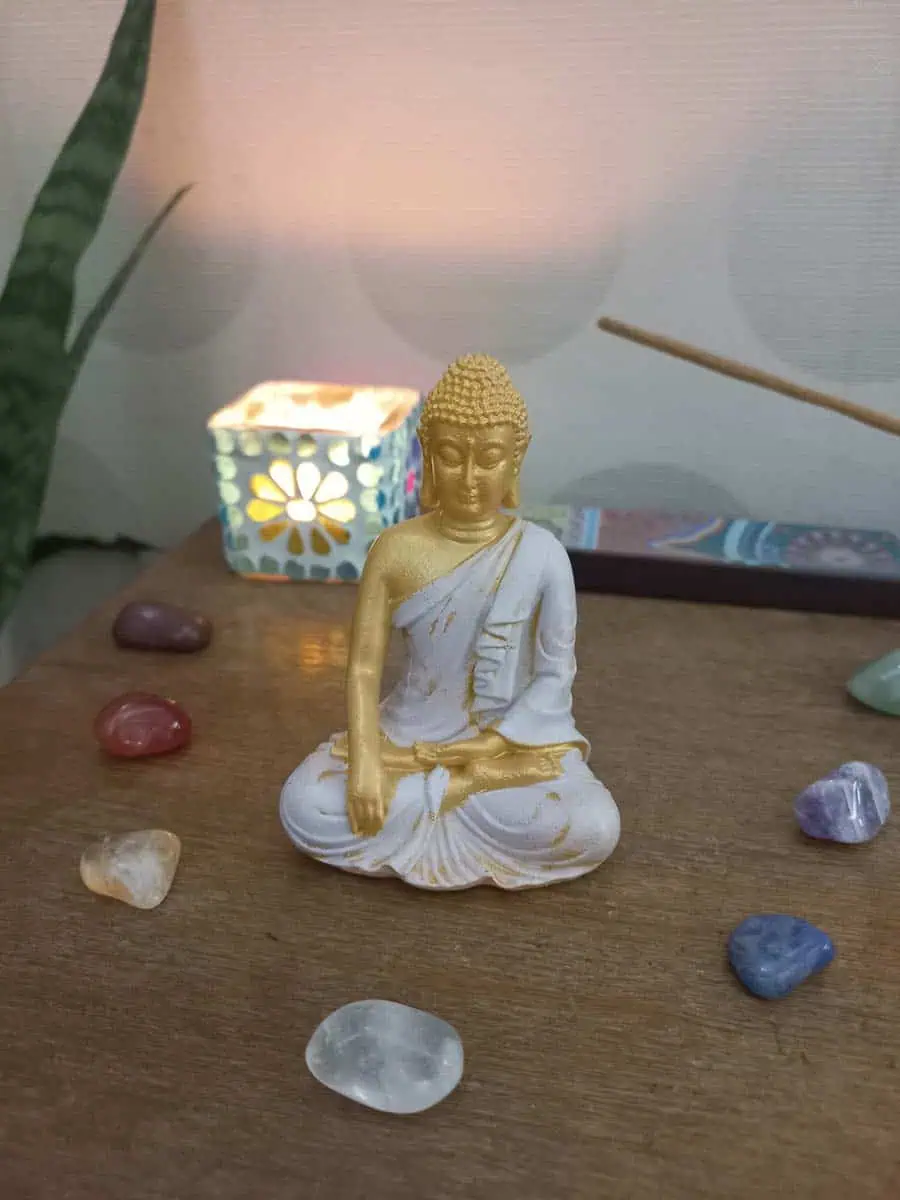 Buda Mudra Bhumisparsha rosa