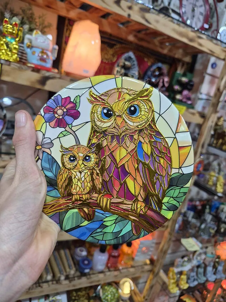 Colgante decorativo redondo de cerámica con dos búhos de colores sobre una rama rodeados de flores