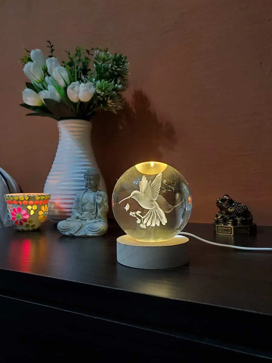 imagen de una esfera lampara de cristal 3D de colibri