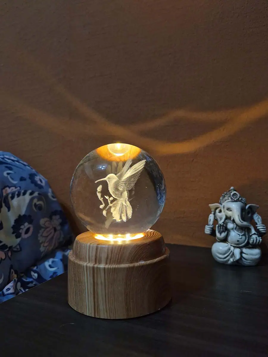 Lámpara esfera de cristal 3D giratoria con colibri, luz cálida y base de madera