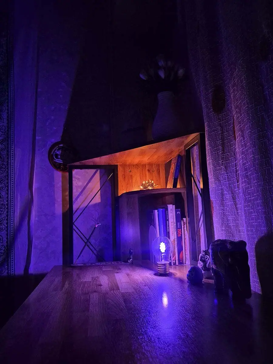 Bombilla LED decorativa con diseño de flor iluminada