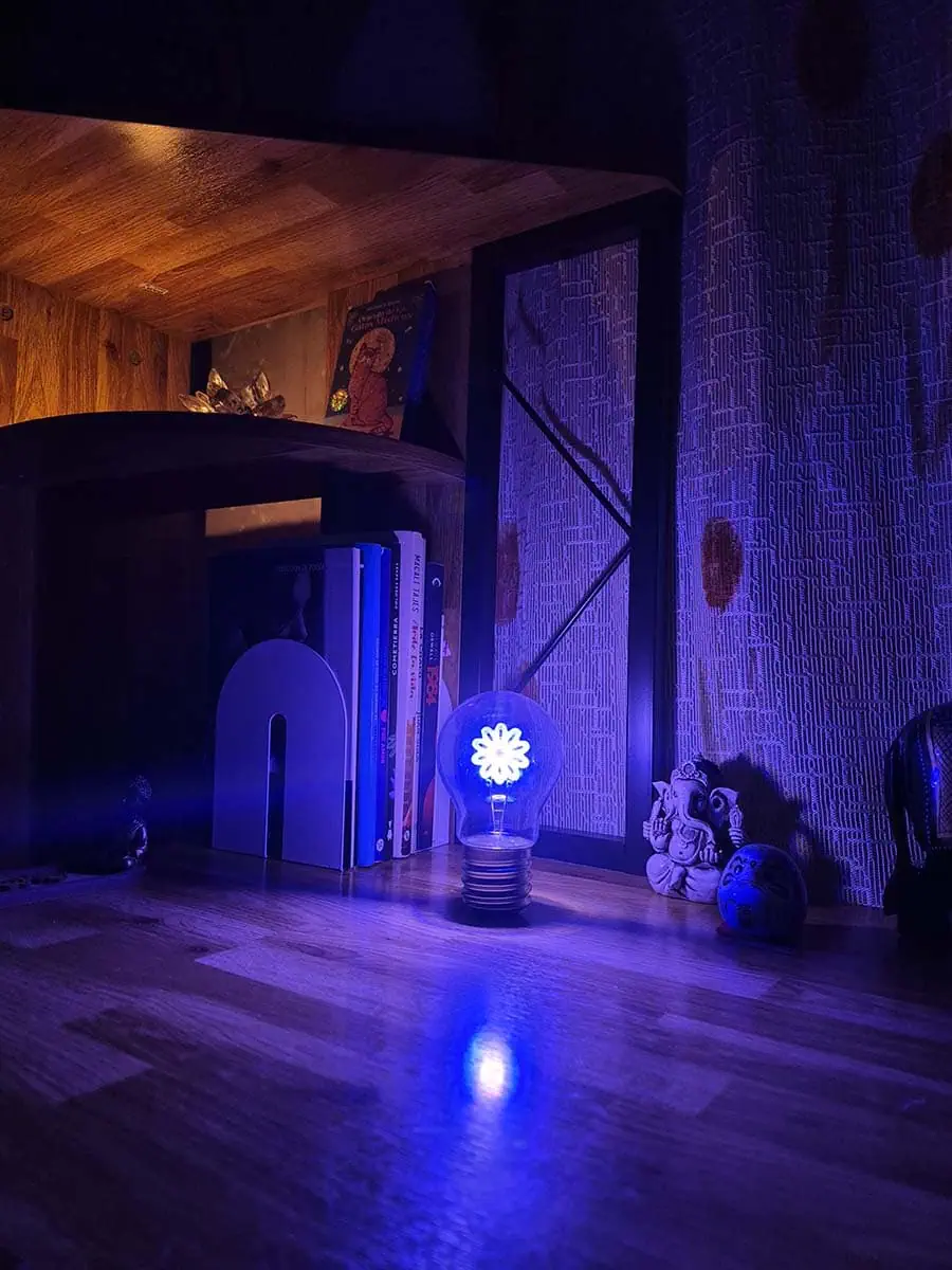 Bombilla LED decorativa con diseño de flor iluminada