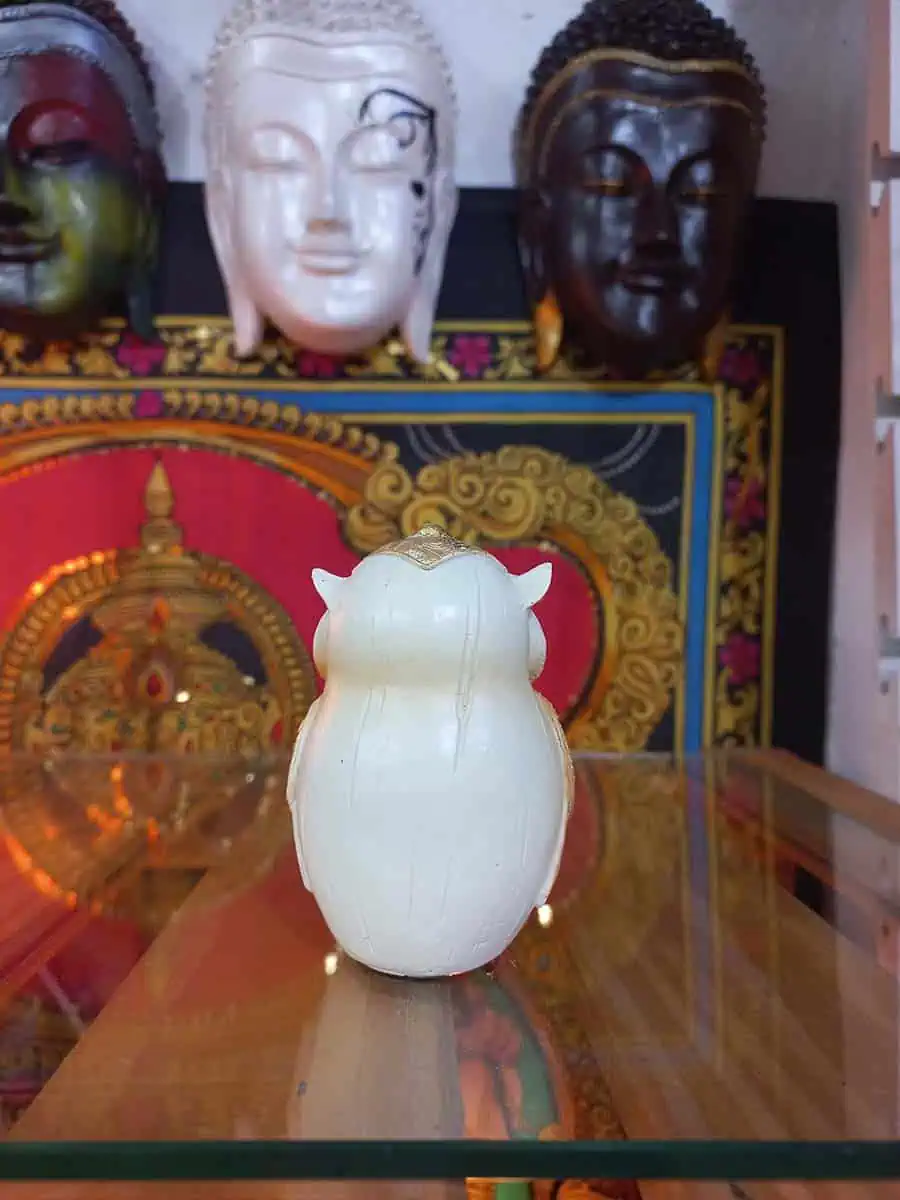 imagen de una lechuza decorativa para la casa