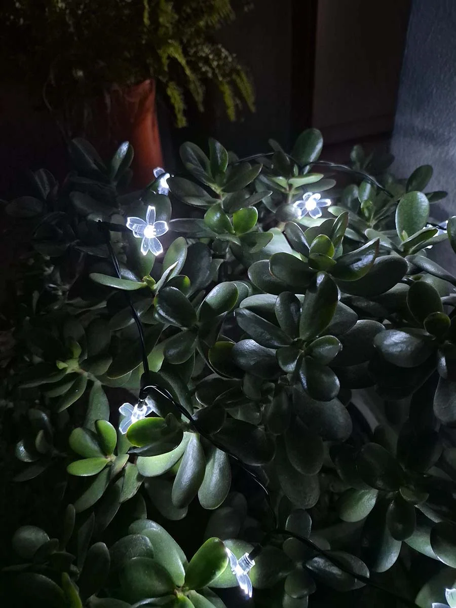 Guirnalda solar de flores blancas de 10 metros iluminando plantas y una ventana en un jardín.