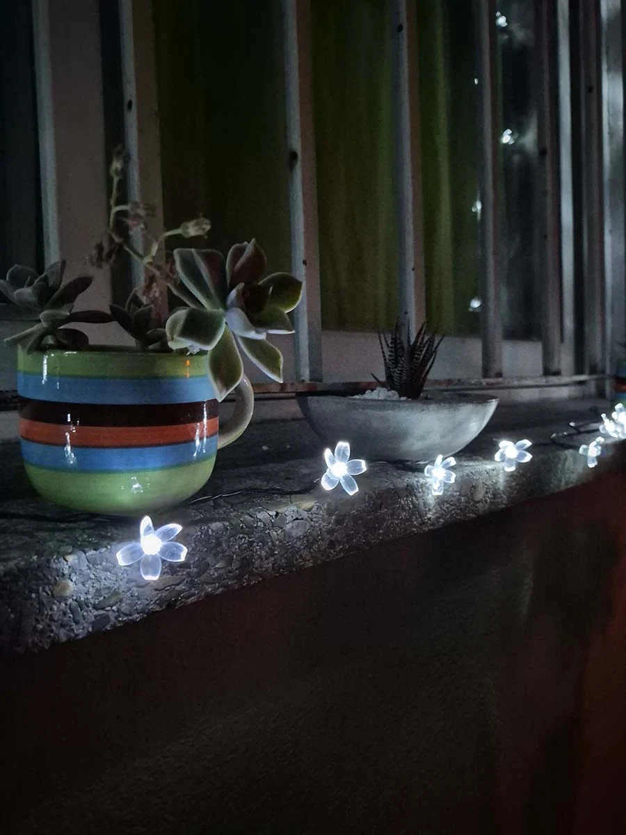 Guirnalda solar de flores blancas de 10 metros iluminando plantas y una ventana en un jardín.