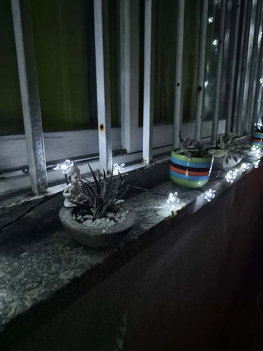 Guirnalda solar de flores blancas de 10 metros iluminando plantas y una ventana en un jardín.