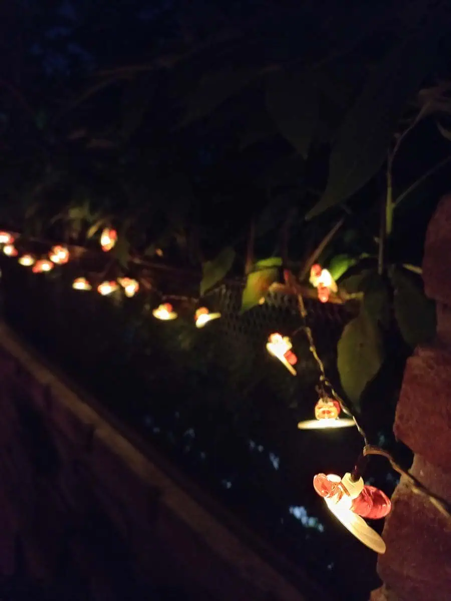 Guirnalda solar de abejitas con luz cálida decorando la baranda y pared de una terraza durante la noche.