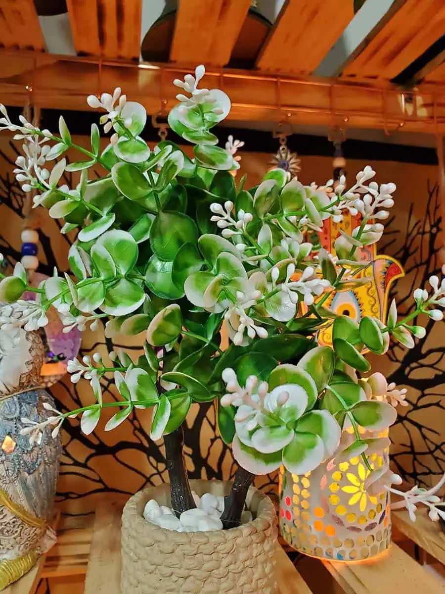 Jazmín de Leche artificial con maceta