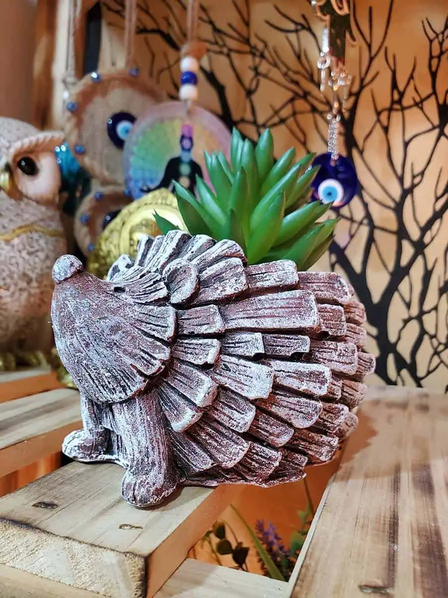 Maceta de Erizo con suculenta artificial