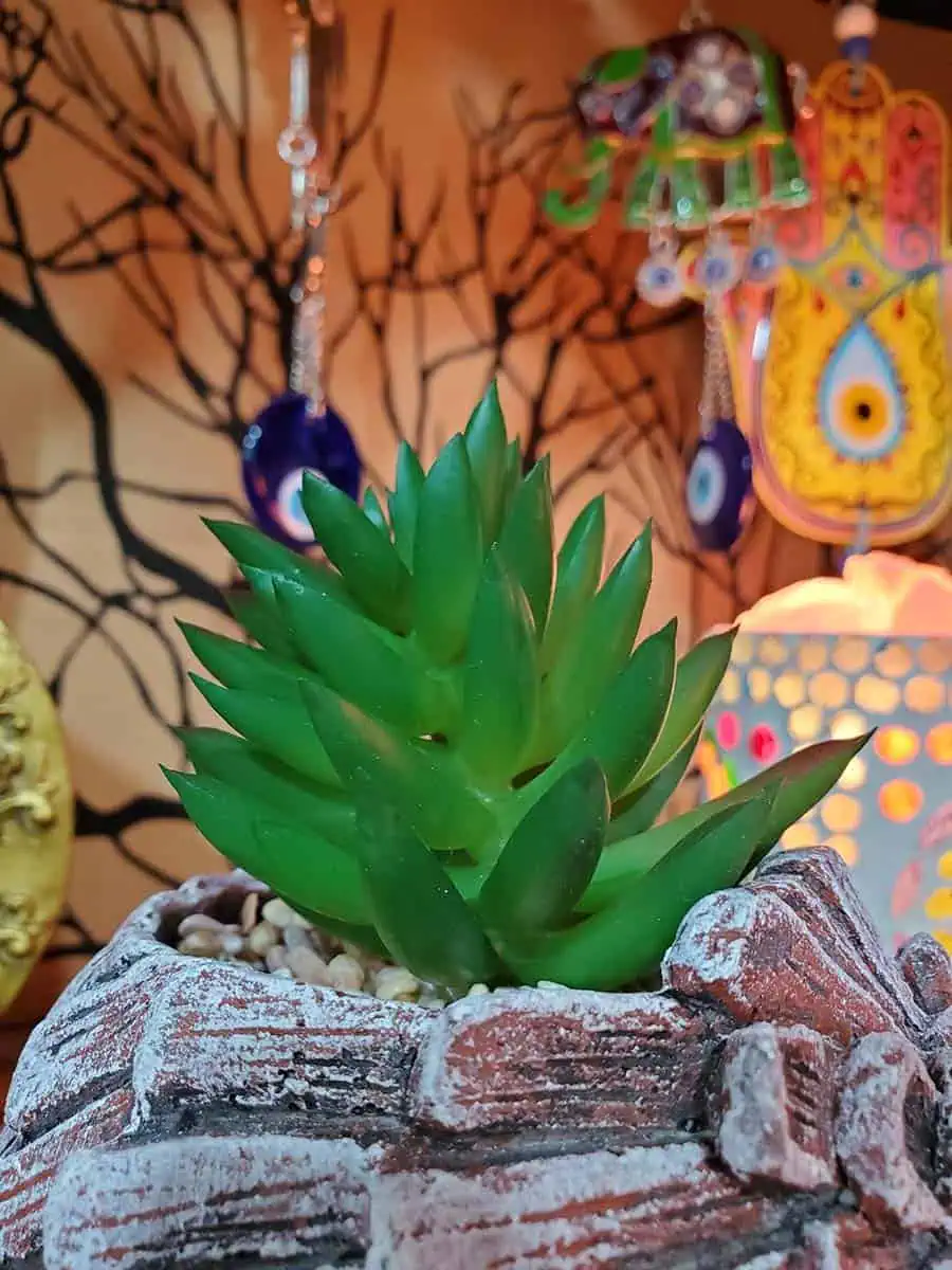 Maceta de Erizo con suculenta artificial