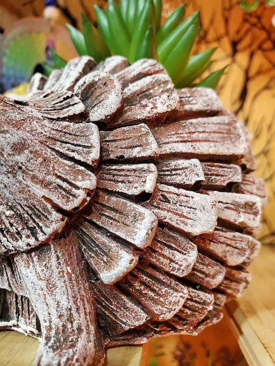 Maceta de Erizo con suculenta artificial