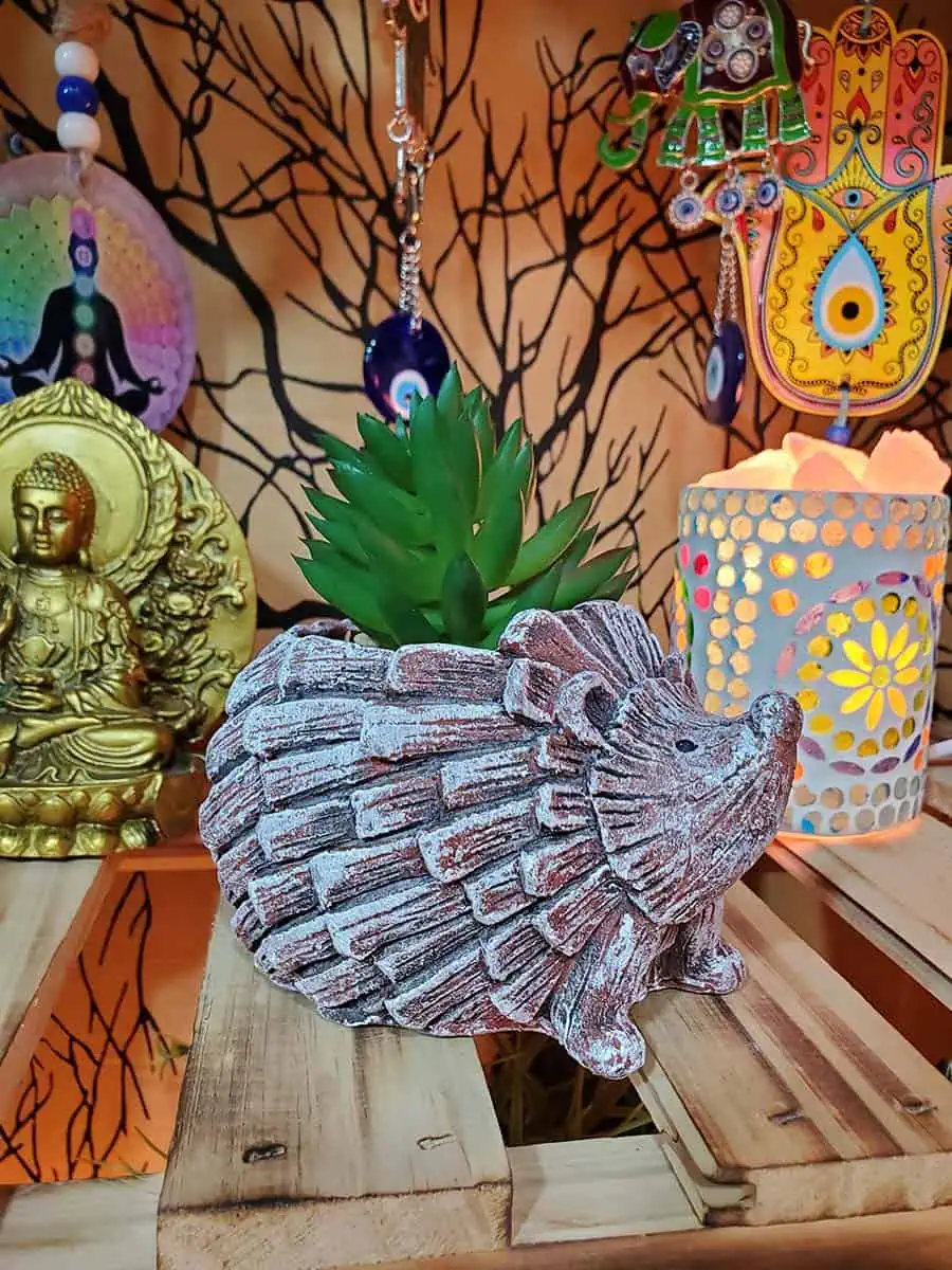 Maceta de Erizo con suculenta artificial