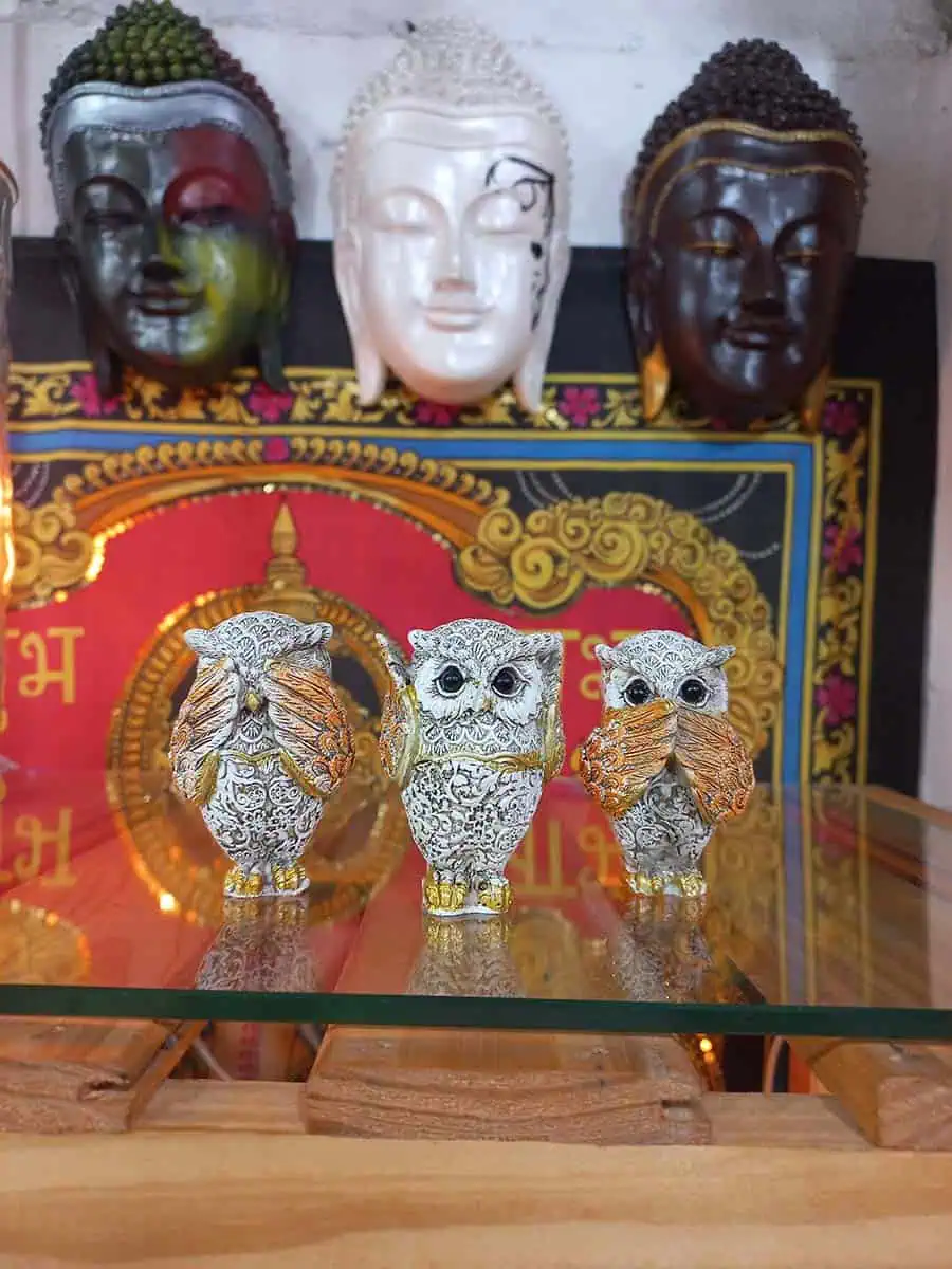 imagen de una lechuza decorativa para la casa