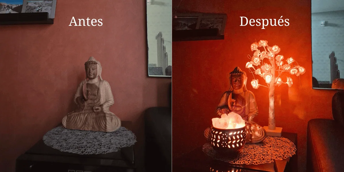 Antes y despues de una habitación sin una lampara de árbol de rosas